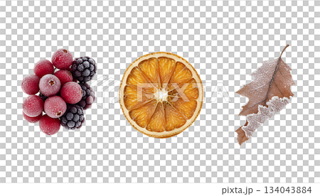 霜付きの冬の果実と葉（背景透過） 134043884