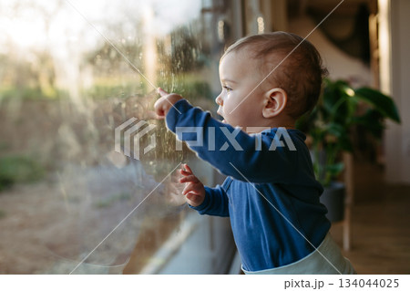 A little toddler is looking out the window. A little toddler is looking out the window. 134044025