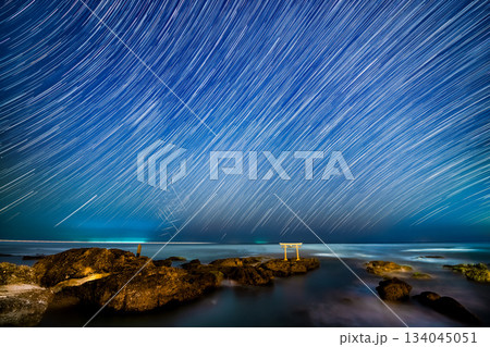 茨城 大洗磯前神社・神磯の鳥居の星景　～しし座流星群(40min)～ 134045051