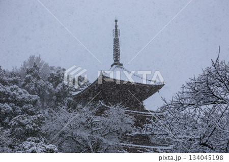 雪降る尾道市西國寺三重塔 雪降る尾道市西國寺三重塔 134045198