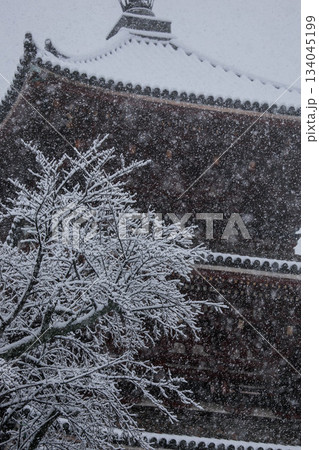 雪の花 広島県尾道市西國寺三重塔 雪の花 広島県尾道市西國寺三重塔 134045199