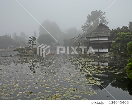 岡山県津山市にある回遊式日本庭園「衆楽園」:霧の朝 岡山県津山市にある回遊式日本庭園「衆楽園」:霧の朝 134045406