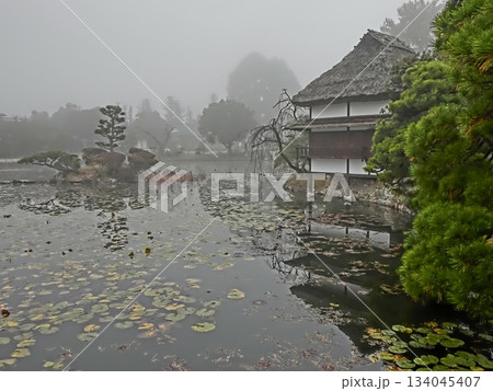 岡山県津山市にある回遊式日本庭園「衆楽園」：霧の朝 134045407
