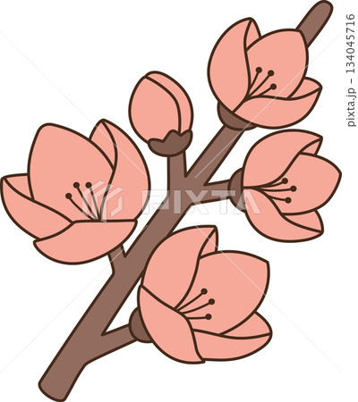 Cute Cartoon Peach Blossom Branch Illustration Cute Cartoon Peach Blossom Branch Illustration 134045716