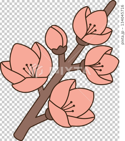 Cute Cartoon Peach Blossom Branch Illustration Cute Cartoon Peach Blossom Branch Illustration 134045716