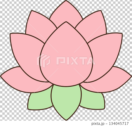 Cute Cartoon Pink Lotus Flower Illustration 134045717