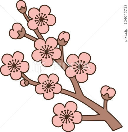 Cute Cartoon Plum Blossom Branch Illustration Cute Cartoon Plum Blossom Branch Illustration 134045718