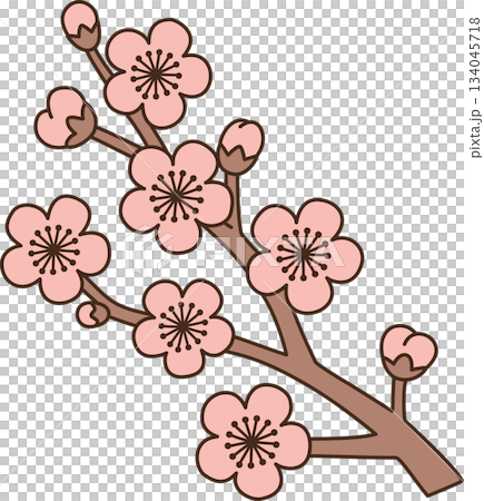 Cute Cartoon Plum Blossom Branch Illustration Cute Cartoon Plum Blossom Branch Illustration 134045718