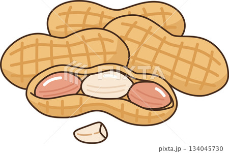 Peanut Pods and Shelled Nuts of Groundnuts Illustration Peanut Pods and Shelled Nuts of Groundnuts Illustration 134045730