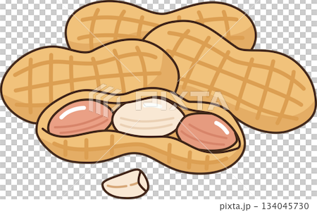 Peanut Pods and Shelled Nuts of Groundnuts Illustration Peanut Pods and Shelled Nuts of Groundnuts Illustration 134045730