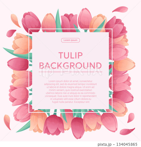 Colorful background with delicate tulips. The concept of a holiday, spring, women's day, Valentine's day. Vector illustration for the design of posters, flyers, postcards and invitations Colorful background with delicate tulips. The concept of a holiday, spring, women's day, Valentine's day. Vector illustration for the design of posters, flyers, postcards and invitations 134045865