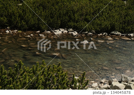 Clear Mountain Stream Through Rocky Bed 134045878