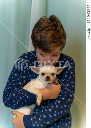 Boy holds small dog with care in a cozy indoor setting at home Boy holds small dog with care in a cozy indoor setting at home 134045885