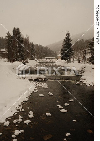 Winter Stream Flows Through Misty Forest Winter Stream Flows Through Misty Forest 134046001