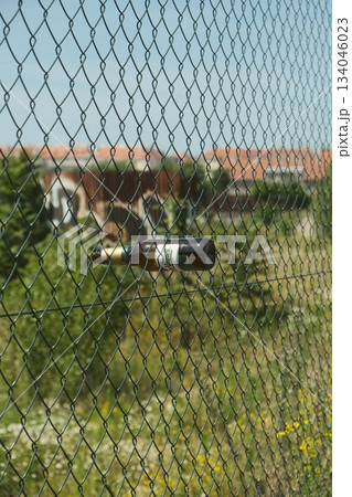 Glass Bottle Suspended On Wire Mesh Glass Bottle Suspended On Wire Mesh 134046023