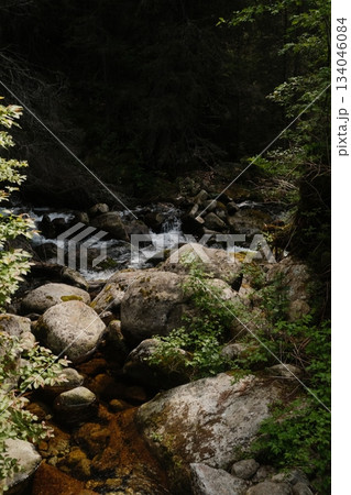 Rocky Cascade Amidst Lush Green Foliage Rocky Cascade Amidst Lush Green Foliage 134046084
