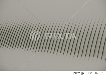 Abstract Linear Rhythmic Patterns Textured Background Abstract Linear Rhythmic Patterns Textured Background 134046193