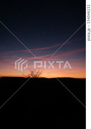 Fiery Sunset Clouds Over Bare Winter Trees 134046231