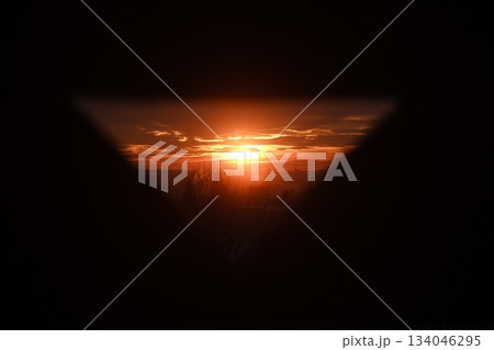 Golden Sunset Through Winding Pathway Branches Golden Sunset Through Winding Pathway Branches 134046295