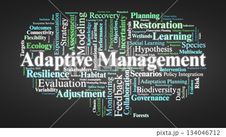 Adaptive Management Word Cloud. Core concepts on learning, monitoring, uncertainty, and iterative decisionmaking in conservation for sustainable ecosystem resilience. Adaptive Management Word Cloud. Core concepts on learning, monitoring, uncertainty, and iterative decisionmaking in conservation for sustainable ecosystem resilience. 134046712