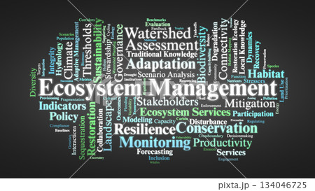 Ecosystem Management Word Cloud. Core Terms on Sustainability, Resilience, and Conservation Ecosystem Management Word Cloud. Core Terms on Sustainability, Resilience, and Conservation 134046725
