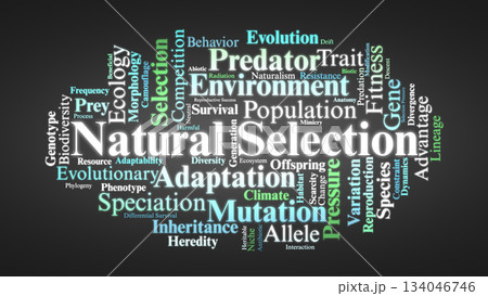 Natural Selection Word Cloud. Core Concepts In Evolution, Adaptation, Traits, And Survival Natural Selection Word Cloud. Core Concepts In Evolution, Adaptation, Traits, And Survival 134046746