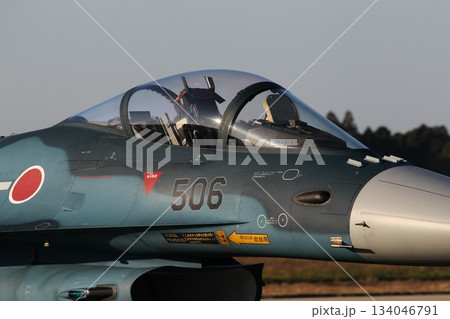 航空自衛隊 新田原基地エアフェスタ2025 134046791