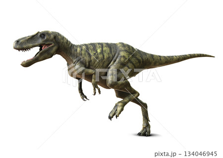 ナノティラヌス　Nanotyrannus 134046945