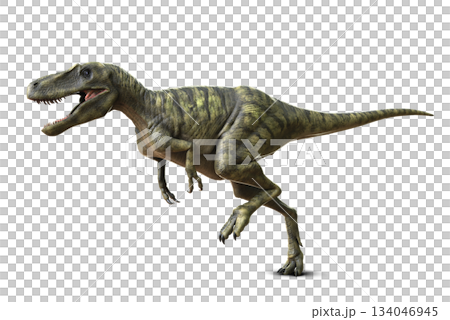 ナノティラヌス　Nanotyrannus 134046945