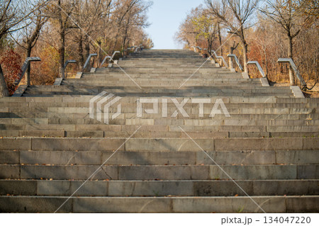 A staircase with a view of trees and a sky 134047220