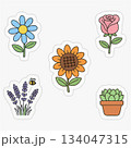 vector set of hand drawn flowers and plants 134047315