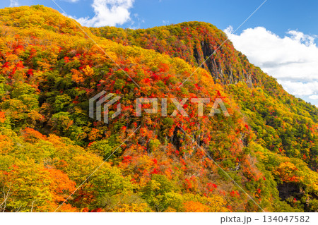 栃木県日光市中宮祠　第一いろは坂から望む屏風岩と山々の斜面の紅葉の景色 134047582