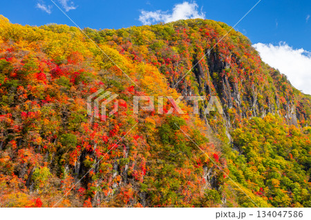 栃木県日光市中宮祠　第一いろは坂から望む屏風岩と山々の斜面の紅葉の景色 134047586