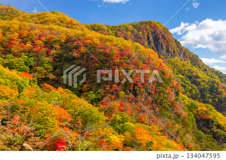 栃木県日光市中宮祠　第一いろは坂から望む屏風岩と山々の斜面の紅葉の景色 134047595