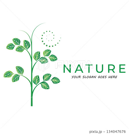 Leaf logo vector illustrations design icon template Leaf logo vector illustrations design icon template 134047676