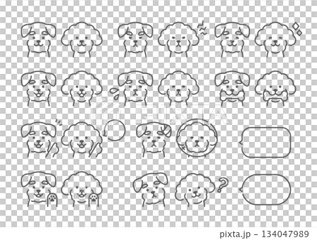 Toy poodle and schnauzer facial expression set Toy poodle and schnauzer facial expression set 134047989