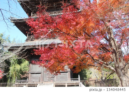 2025年12月初冬_岡山県総社市【備中国分寺】_ OSCKOBU_022 2025年12月初冬_岡山県総社市【備中国分寺】_ OSCKOBU_022 134048445