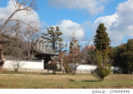 2025年12月初冬_岡山県総社市【備中国分寺】_ OSCKOBU_023 2025年12月初冬_岡山県総社市【備中国分寺】_ OSCKOBU_023 134048446