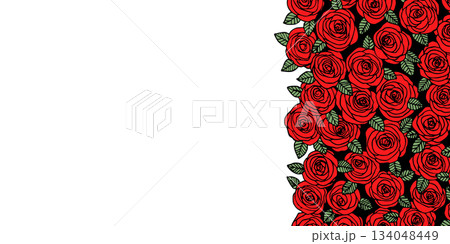 Summer background with roses flowers. Nature concept design. Modern floral composition. Vector illustration for poster, invitation, greeting card. Botanical style roses frame. Copy space 134048449