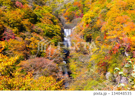 栃木県日光市中宮祠　第一いろは坂の剣が峰展望所から望む方等滝と方等上流砂防堰堤の紅葉の景色 134048535