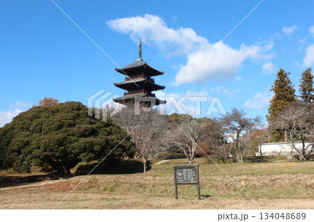 2025年12月初冬_岡山県総社市【備中国分寺】_ OSCKOBU_026 2025年12月初冬_岡山県総社市【備中国分寺】_ OSCKOBU_026 134048689