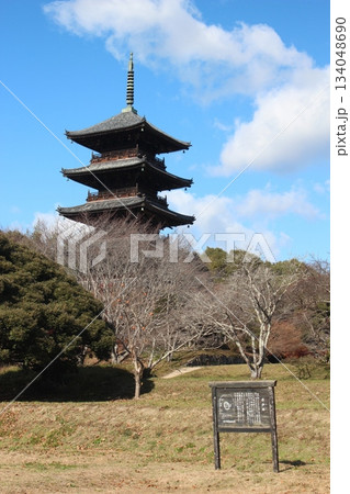 2025年12月初冬_岡山県総社市【備中国分寺】_  OSCKOBU_027 134048690