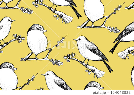 Seamless pattern with funny birds, flowers, leaves. Flat vector illustration with cartoon bird silhouette. Cute characters. Design for invitation, poster, card, textile, fabric Seamless pattern with funny birds, flowers, leaves. Flat vector illustration with cartoon bird silhouette. Cute characters. Design for invitation, poster, card, textile, fabric 134048822