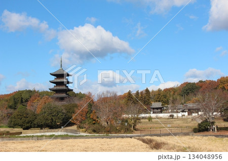 2025年12月初冬_岡山県総社市【備中国分寺】_ OSCKOBU_033 2025年12月初冬_岡山県総社市【備中国分寺】_ OSCKOBU_033 134048956