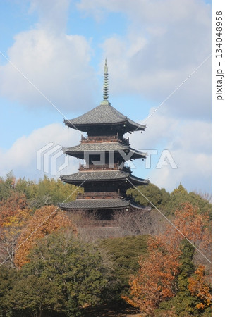 2025年12月初冬_岡山県総社市【備中国分寺】_ OSCKOBU_002 2025年12月初冬_岡山県総社市【備中国分寺】_ OSCKOBU_002 134048958
