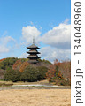 2025年12月初冬_岡山県総社市【備中国分寺】_  OSCKOBU_004 134048960