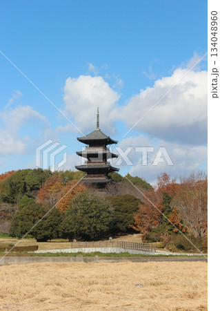 2025年12月初冬_岡山県総社市【備中国分寺】_  OSCKOBU_004 134048960