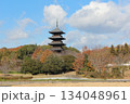 2025年12月初冬_岡山県総社市【備中国分寺】_  OSCKOBU_005 134048961