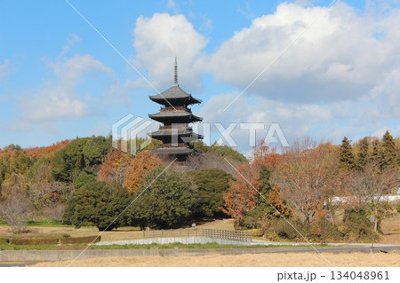 2025年12月初冬_岡山県総社市【備中国分寺】_  OSCKOBU_005 134048961