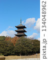 2025年12月初冬_岡山県総社市【備中国分寺】_  OSCKOBU_006 134048962